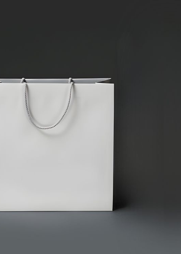 CARDOARD BAG